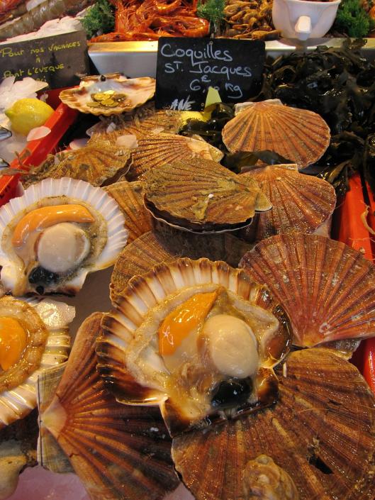 Coquilles St-Jacques in the fish market at Trouville-sur-Mer.