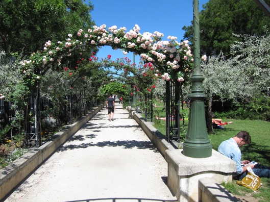 A rose bower in the park that runs down the middle of Boulevard Pereire in the 17e.